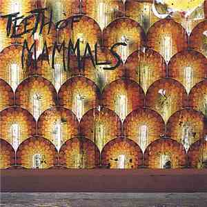 Teeth Of Mammals - Teeth Of Mammals