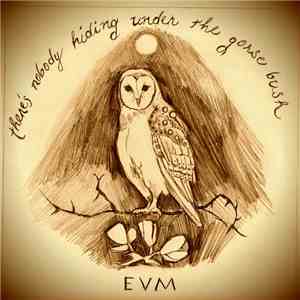 Empty Vessel Music - There's Nobody Hiding Under The Gorse Bush