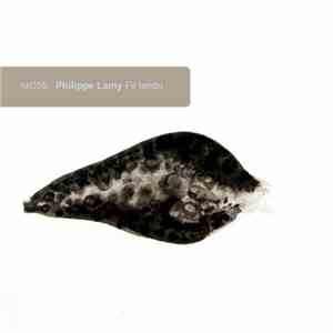 Philippe Lamy - Fil Tendu