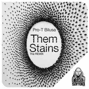 Pro-T Bilusa - Them Stains (The Remix)