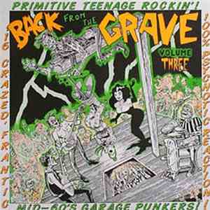 Various - Back From The Grave Volume Three