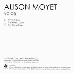 Alison Moyet - Voice