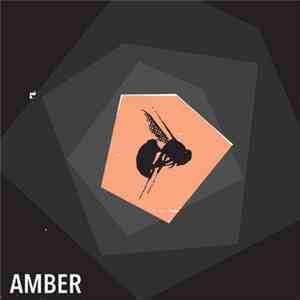 Amber  - Amber