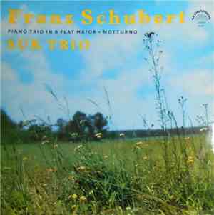 Franz Schubert - Suk Trio - Piano Trio In B Flat Major • Notturno