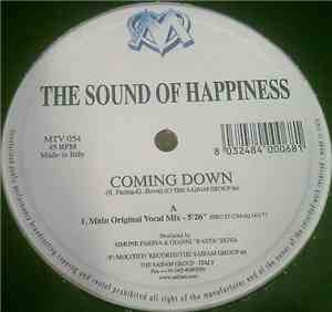 The Sound Of Happiness - Coming Down