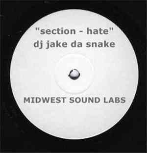 DJ Jake Da Snake - Section Hate