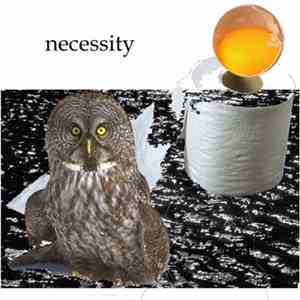 Necessity - Necessity