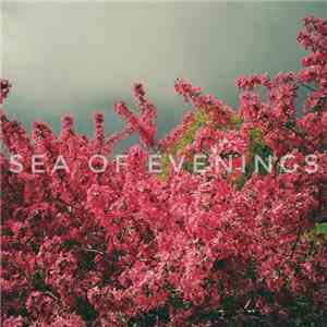 Sea Of Evenings - We Try Again EP