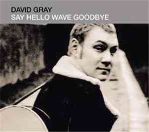 David Gray - Say Hello Wave Goodbye