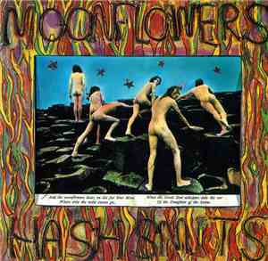 Moonflowers  - Hash Smits