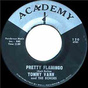 Tommy Vann And The Echoes - Pretty Flamingo