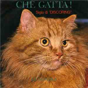 Le Babayaga - Che Gatta!