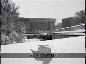 Various - V: Nivosus