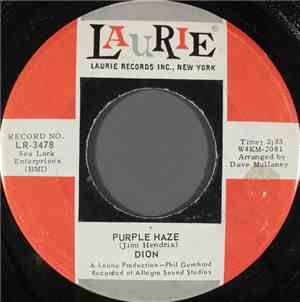 Dion  - Purple Haze / The Dolphins