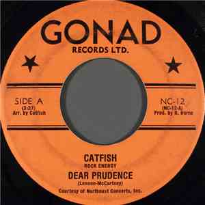 Catfish Rock Energy - Dear Prudence