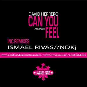 David Herrero - Can You Feel