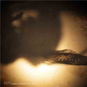 ReWIR3D & :10: - Aphotic