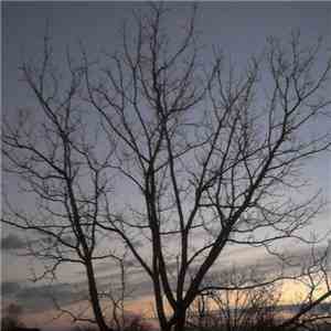 Lullabies Under A Grey Sky - Autumn