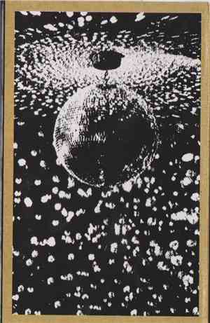 Neil Young - Mirror Ball