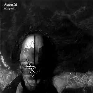 Aspec(t) - Waspnest