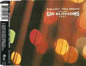 Gin Blossoms - Follow You Down
