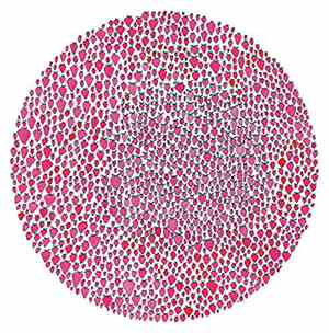 Julia Brown  - An Abundance Of Strawberries
