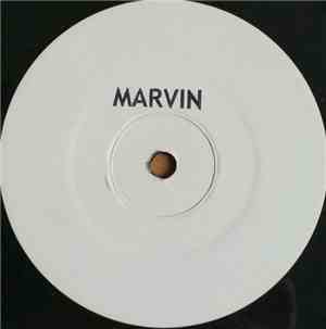 Marvin Gaye - Mercy Mercy Me Remixes
