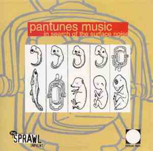 Pantunes Music - In Search Of The Surface Noise
