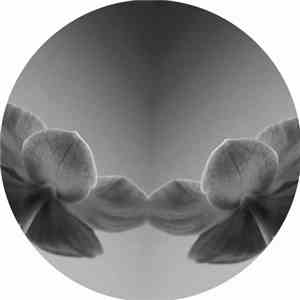 Shyam  / The Organism - Dreamcatcher | Underground Memories