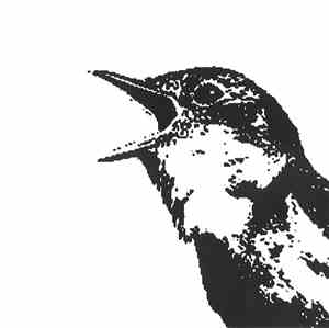 Various - Nightingale Variations