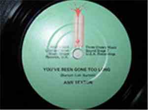 Ann Sexton / Little Richie / Bob Wilson - You've Been Gone Too Long / Just Another Heartache / Suzy's Serenade