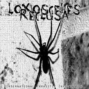 Loxosceles Reclusa - International Parasitic Infestation