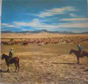 The Norman Luboff Choir - Songs Of The West