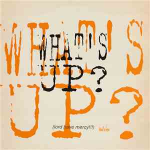 What's Up? - Summer Nights (Lord Have Mercy!!!) / Who's Got Tha Flavor?
