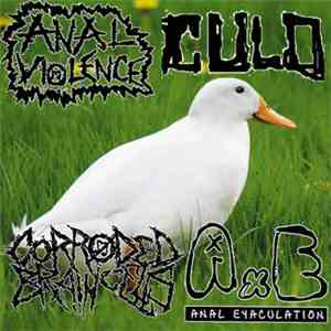 Anal Violence / Culo / Corroided Braincells / Anal Eyaculation - 4 Way Split