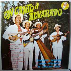 Conjunto Jarocho 