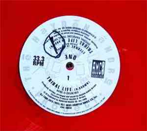 The Hayden Andre Project - Tribal Life