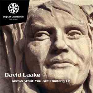 David Laake - Knows What You Are Thinking EP