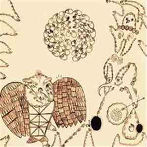 Devendra Banhart - Rejoicing In The Hands