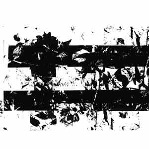 Lettera 22 - Subsequent Teeth