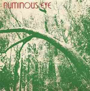 Numinous Eye - Live / Studio