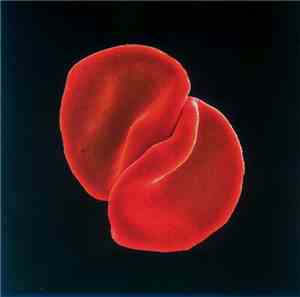 Peter Gabriel - Scratch My Back