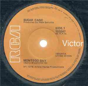 Sugar Cane - Montego Bay