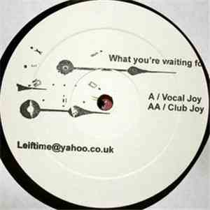 D-Nox & Beckers, Gwen Stefani - What You're Waiting For