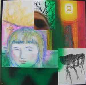 Nurse With Wound - She And Me Fall Together In Free Death