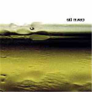 Salt - Re.wasp