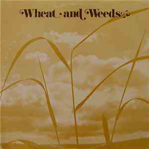 Anne Macksoud - Wheat And Weeds