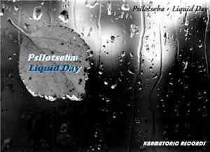Psilotseba - Liquid Day