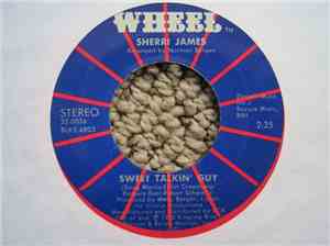 Sherri James - Sweet Talkin' Guy