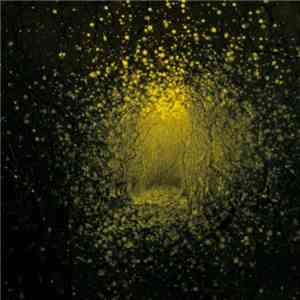 The Antlers - Burst Apart